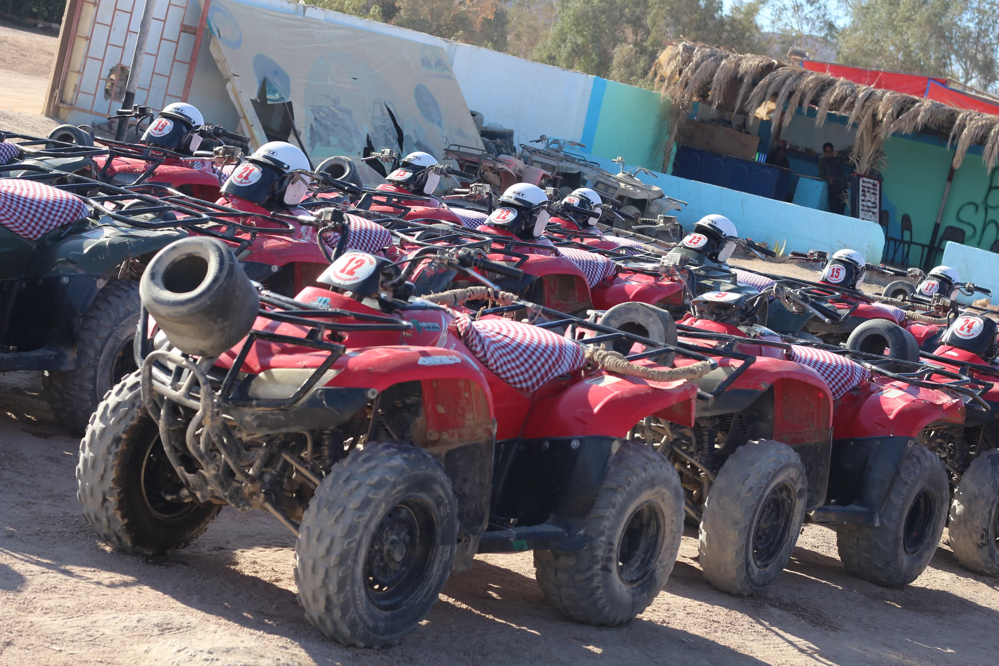 Mega Safari 6 in 1 Adventure - Photo 2