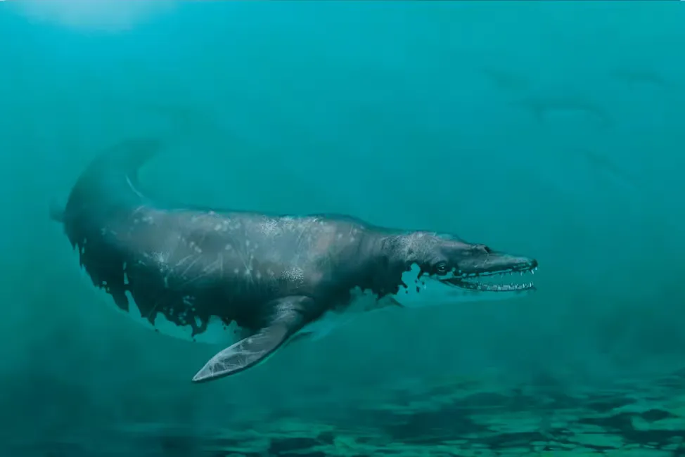 Full-Day Tour to El Fayoum - Photo 2