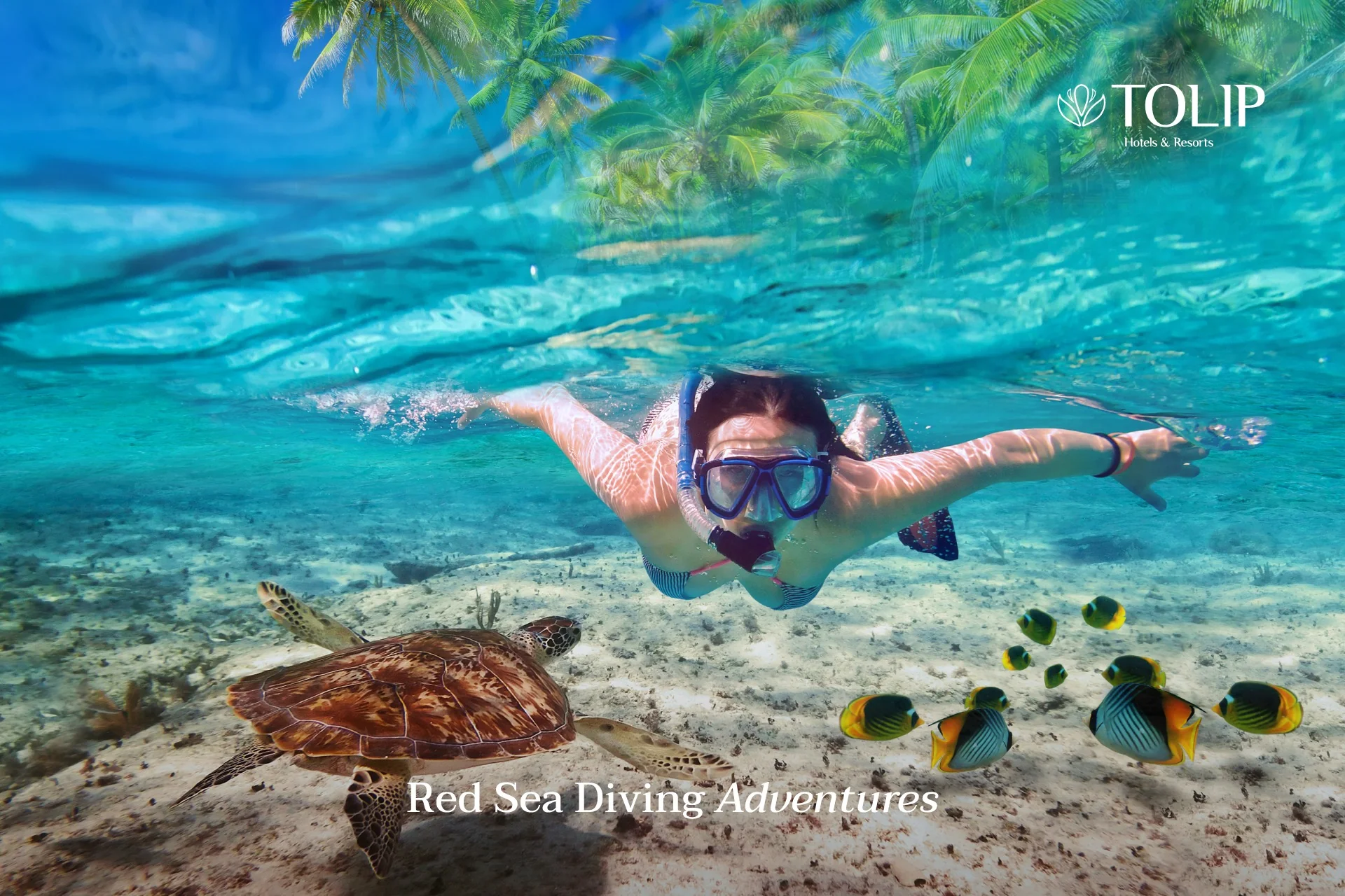 Tolip El Narges - Photo 2