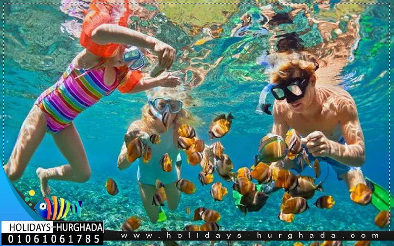 Dolphin House Hurghada - Photo 1