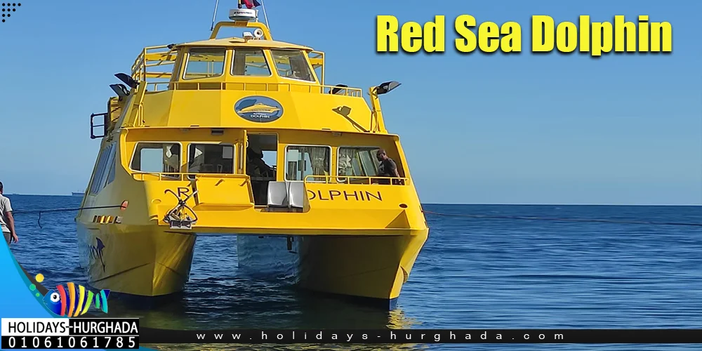 Paradise Island Trip with Redsea Dolphin - Photo 1