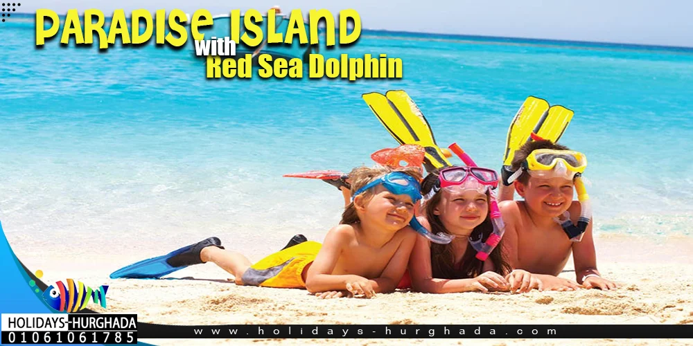 Paradise Island Trip with Redsea Dolphin - Photo 3