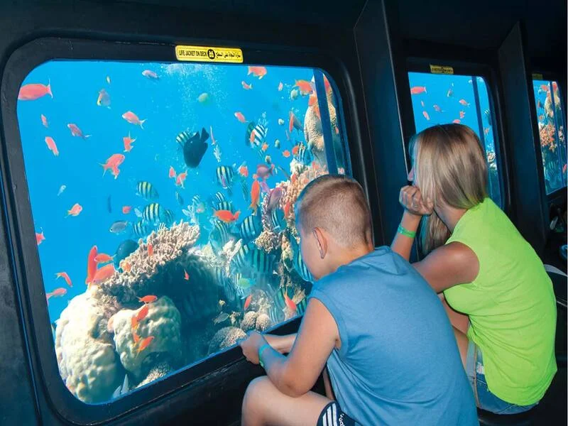 Semi Submarine Tour - Photo 1