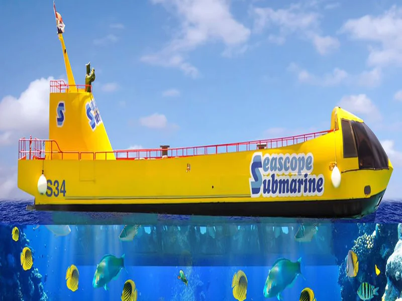 Semi Submarine Tour - Photo 3